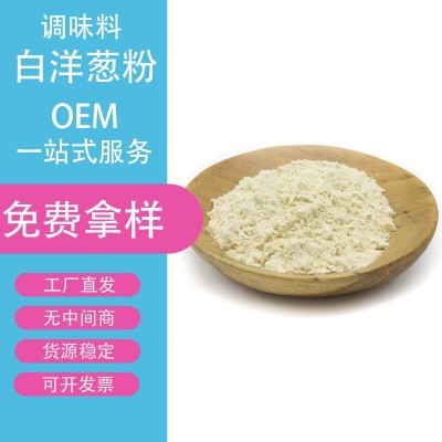 洋葱粉 脱水洋葱粉 脱水白洋葱粉黄洋葱粉 调味调料蔬菜粉香辛料