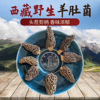 产地一件批发正宗野生羊肚菌干货西藏林芝特产非云南香格里拉四川