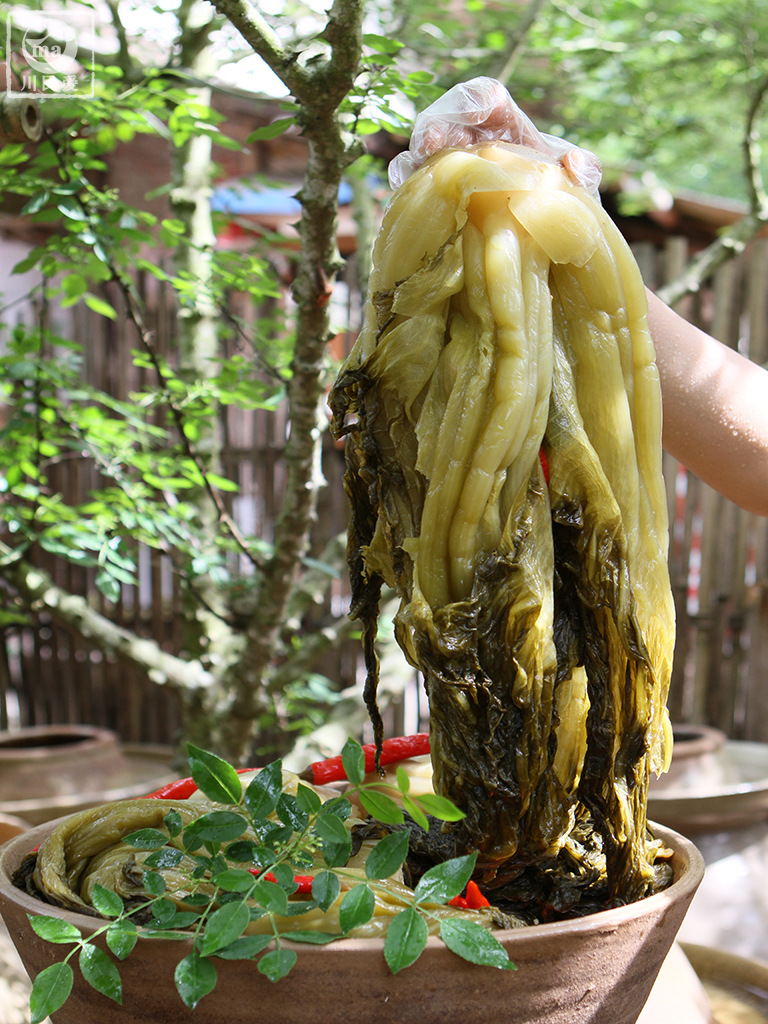 叶酸菜川民爱 (4).JPG