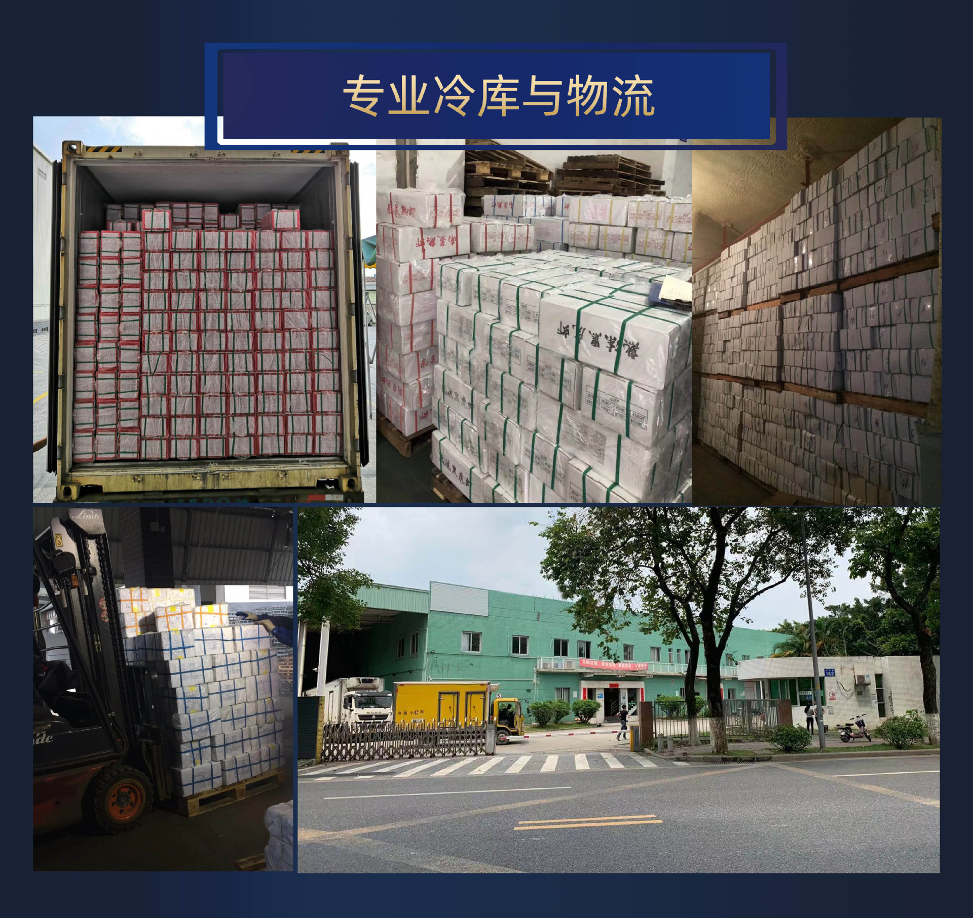 专业冷库物流