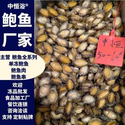 鲍鱼肉【鲍鱼厂家】鲍鱼全系列产品齐全 自助餐食材 冻鲍鱼肉