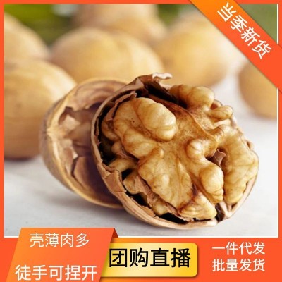 整箱新货新疆纸皮核桃阿克苏生核桃185核桃干果新疆特产薄皮核桃