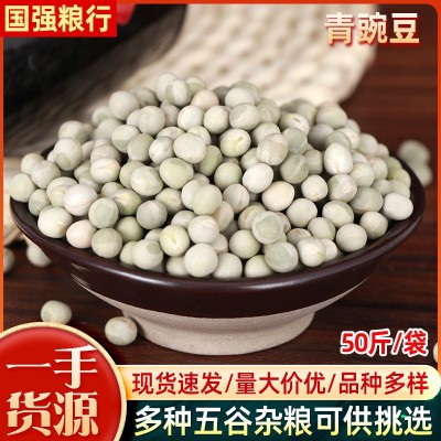 五谷杂粮带皮绿豌豆粒 生青豌豆带皮干豌豆 油炸鸽粮食用生青豌豆