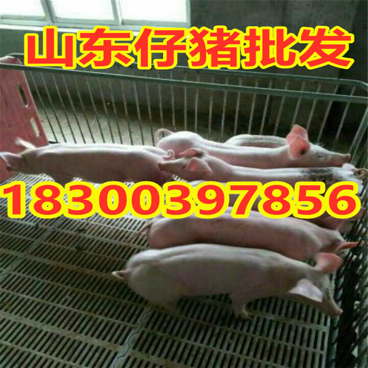 微信图片_20210105202319