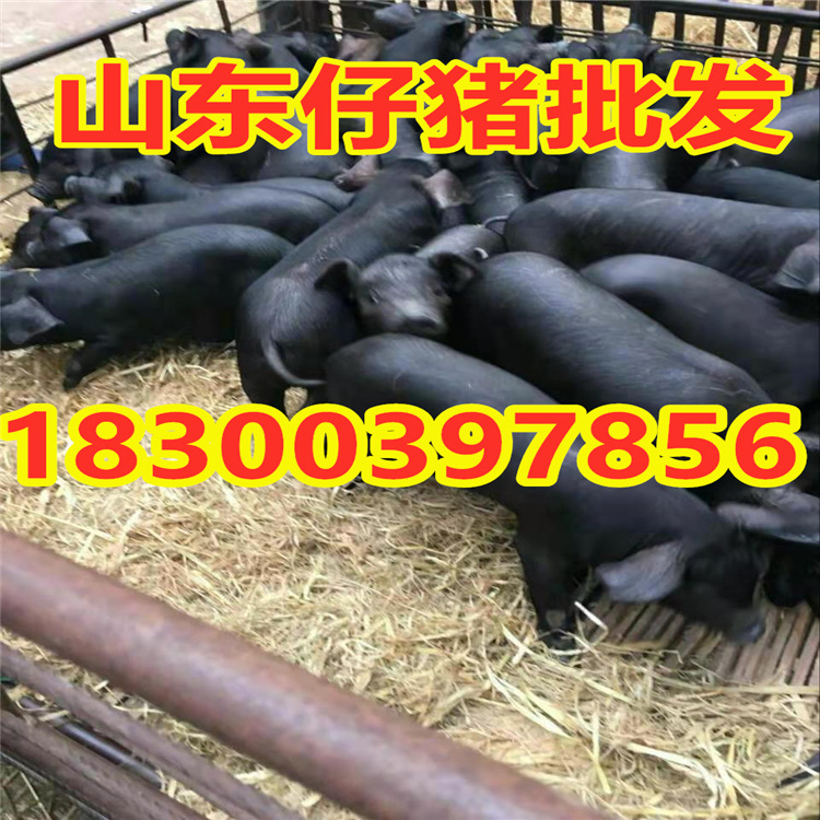 微信图片_20210105202432