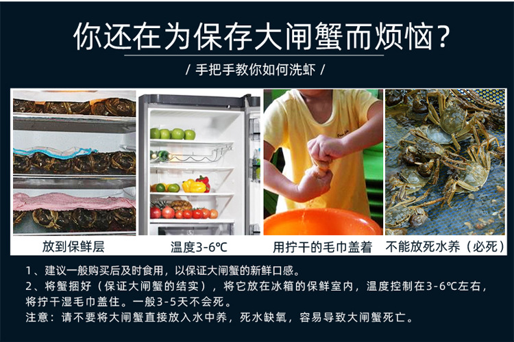 详情页模板-大闸蟹鲜活副本_14