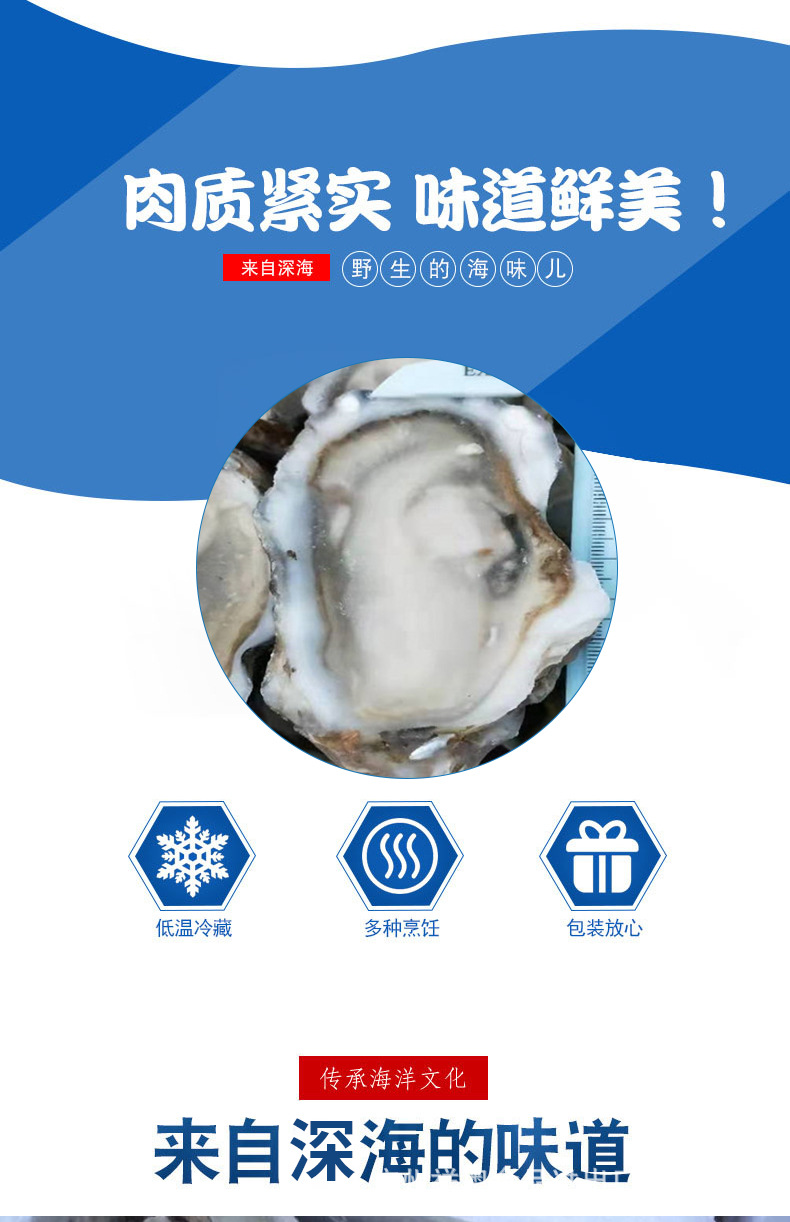 半壳生蚝详情页_02.jpg