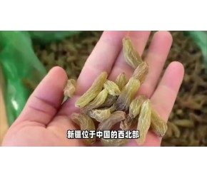 新疆10大特产美食盘点：游客必买清单出炉，让旅行回味无穷
