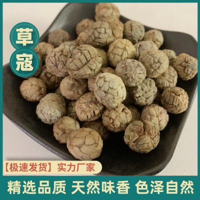 草蔻中草寇卤料厨房食用香辛料香料批发