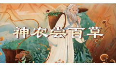 从神农的口袋到食品安全国家标准（二）