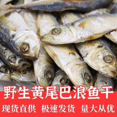 黄尾巴浪鱼干福建特产鱼干零食即食干货整条咸鱼干三斤小鱼干