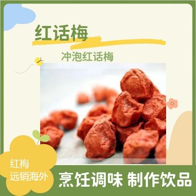 散装红话梅工厂批发酸甜红梅甘甜可口泡水调味大产量红李红话梅