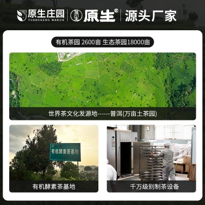 原生茶庄云南原生有机红茶商用云南大叶种茶散茶袋装叶厂家批发