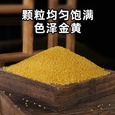 五谷杂粮农家自产石磨碾米五斤真空黄小米礼品装次村牌沁州黄小米