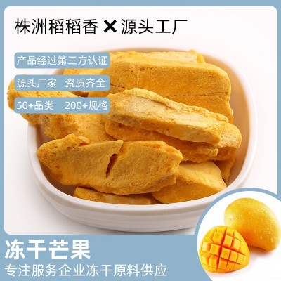 冻干芒果源头厂家 冻干水果 脱水食品 烘培原料 零食 休闲食品
