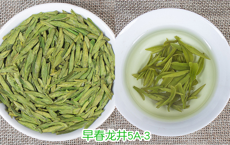 早春龙井5A-3.jpg