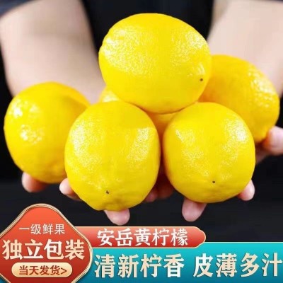 四川安岳黄柠檬新鲜薄皮一级奶茶店专用香水柠檬青柠产地直发