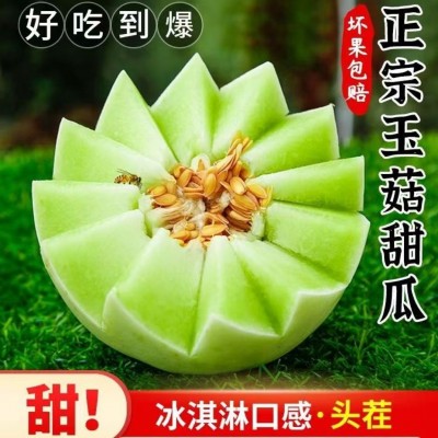 玉菇甜瓜当季新鲜水果玉茹香瓜蜜瓜冰淇淋哈密瓜软糯香甜整箱批发