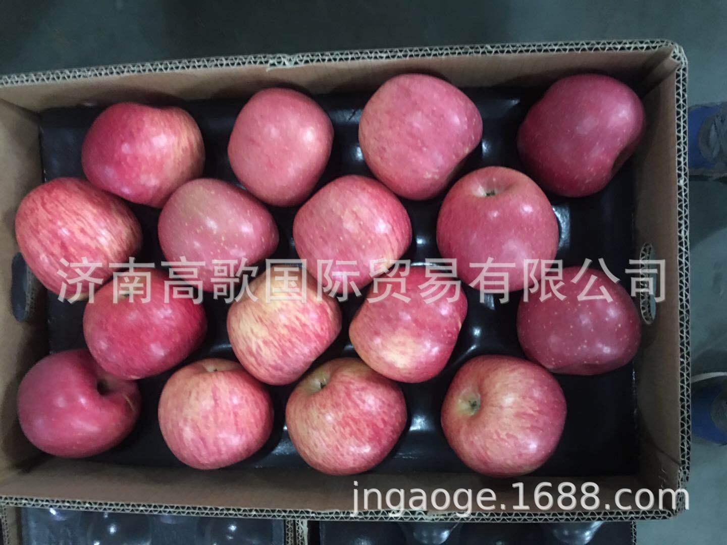 富士加拿大