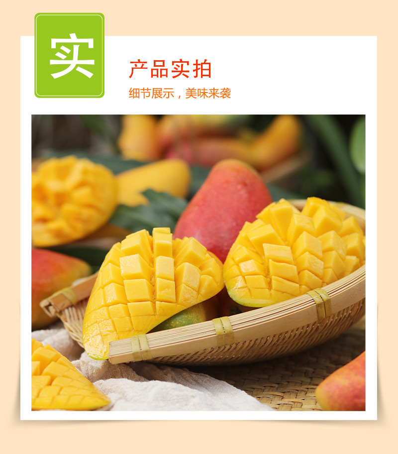海南贵妃芒_07