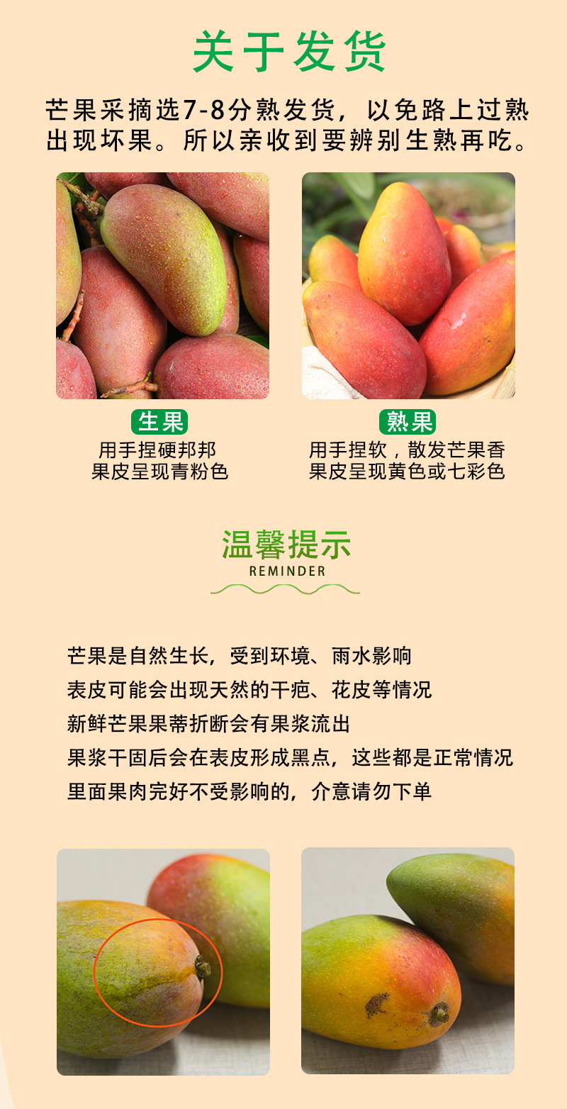 海南贵妃芒_12
