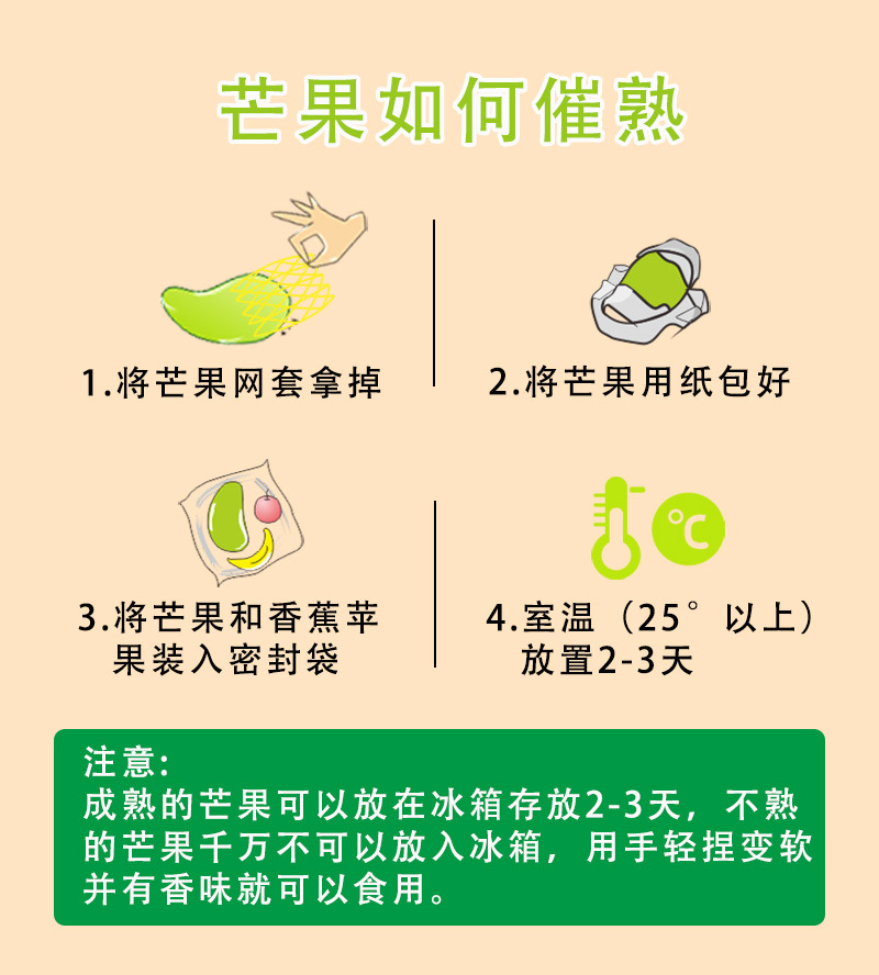 海南贵妃芒_11