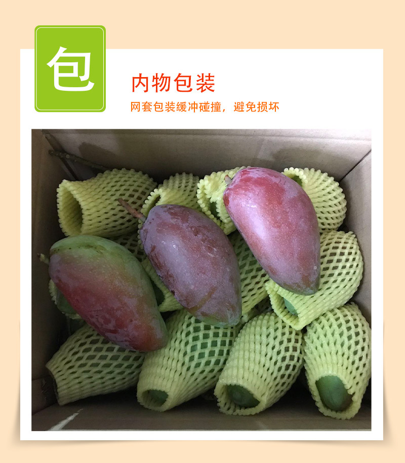 海南贵妃芒_08