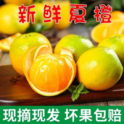 湖北秭归夏橙橙子新9斤水果当季榨汁皮薄酸甜现摘现发整箱