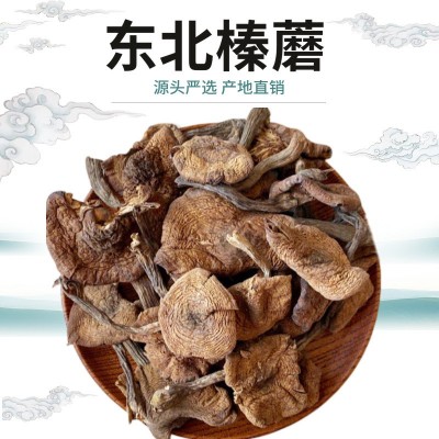 东北菌黄蘑野生榛蘑菌菇干货蘑菇榛蘑500克野生榛蘑