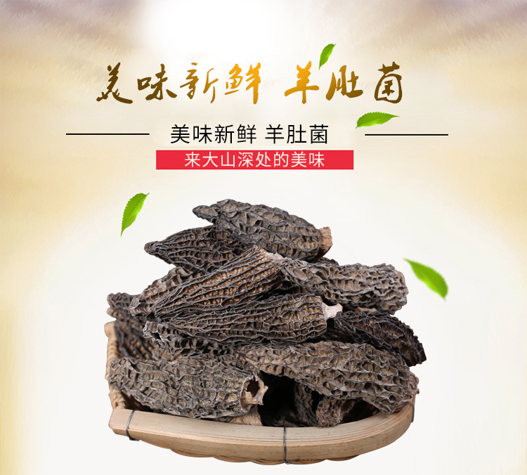 羊肚菌_01