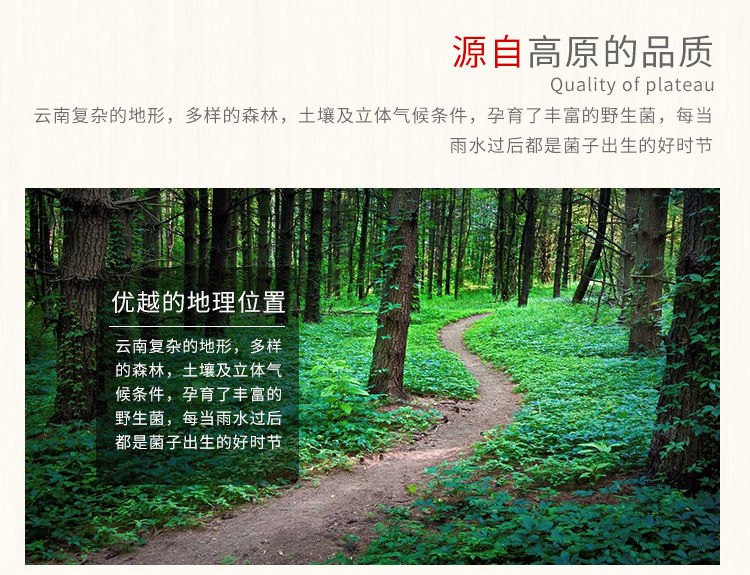 羊肚菌_06