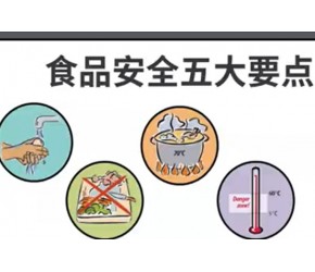 食品安全知识 科普宣传