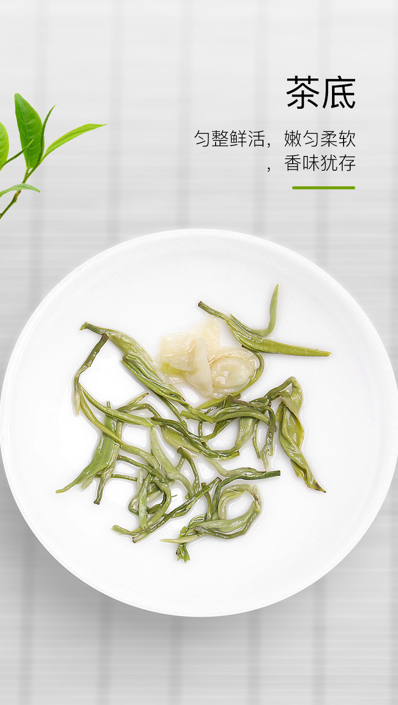 茉莉花茶(普飘雪C）_05