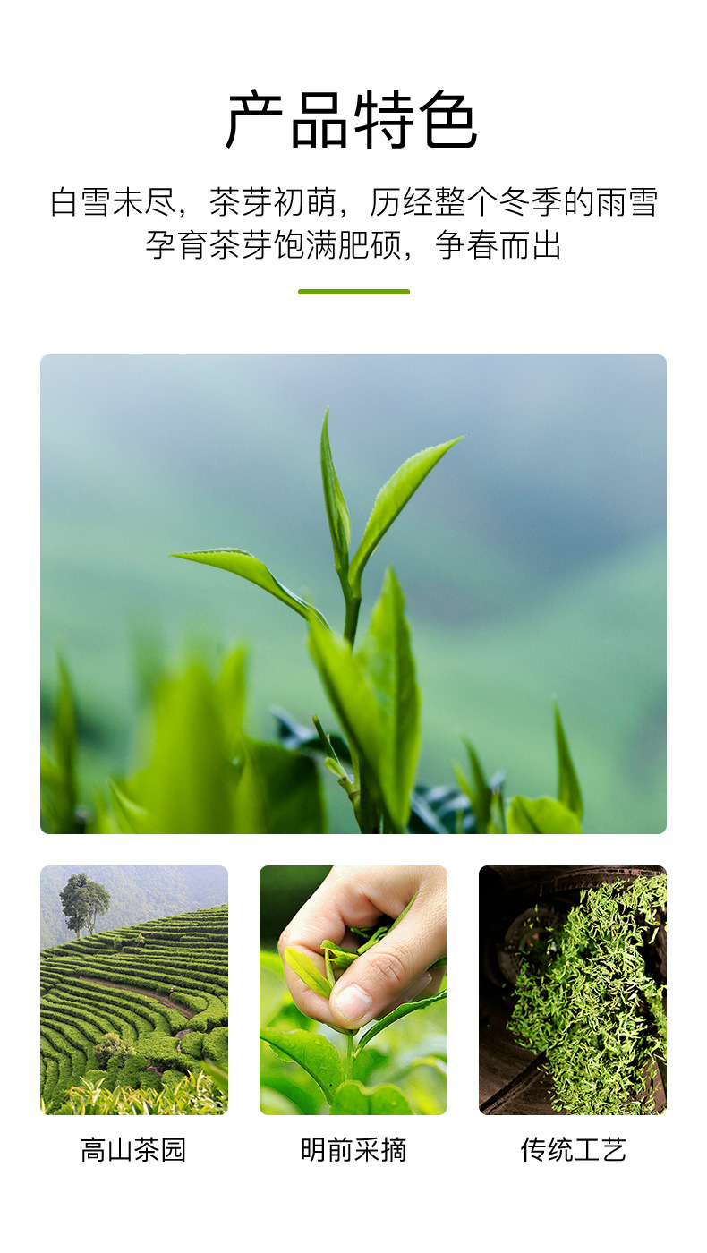 蒙顶山绿茶(香茶3#)_04