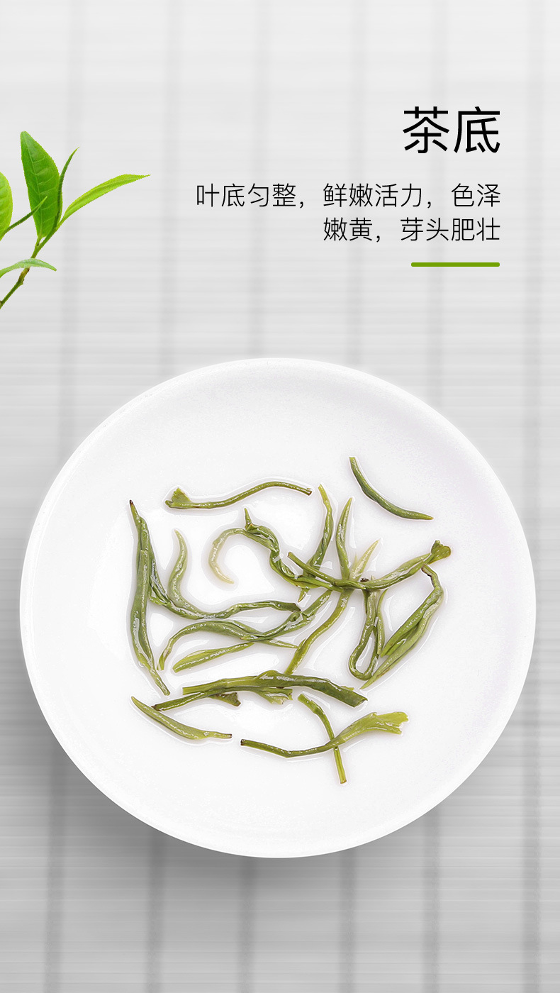 碧螺春E5_05