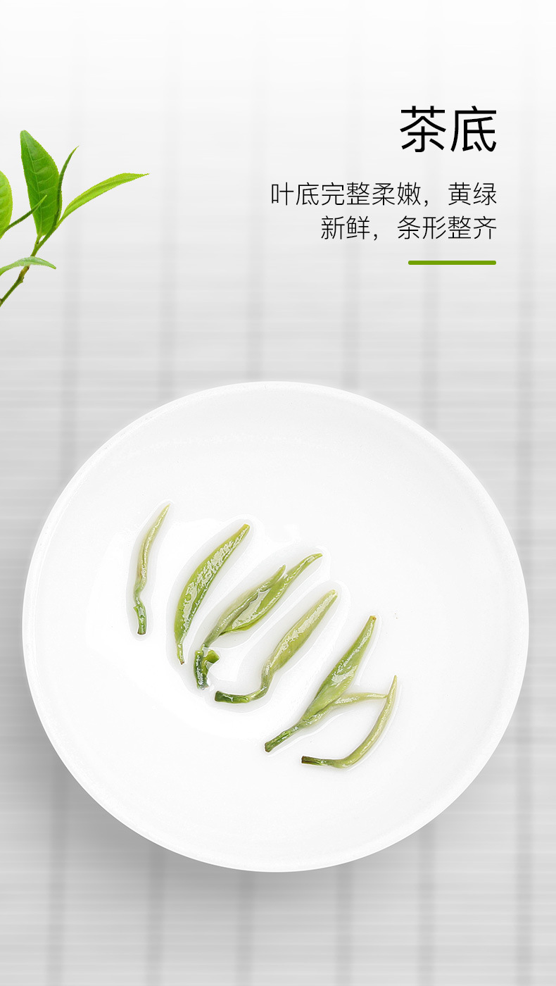 绿茶(碧螺春芯子1#)_05