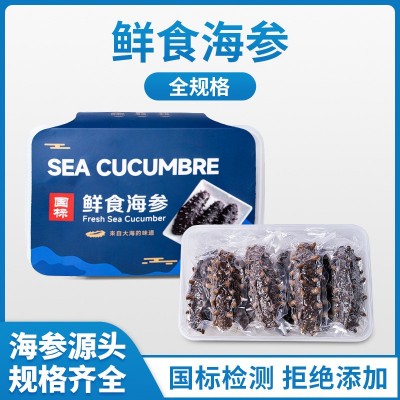 鲜食海参9A全规格辽参8头鲜食冷冻高刺即食海参礼盒批发源头工厂