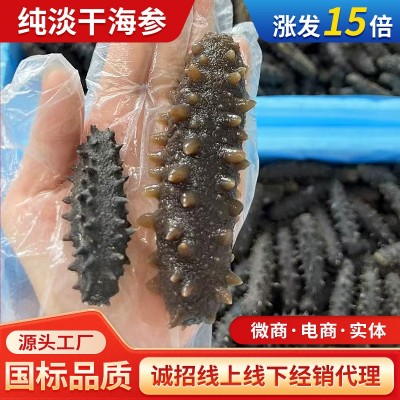 海参干货原产地大连底播海参国标级老人孕妇滋补高口感鲜食海参