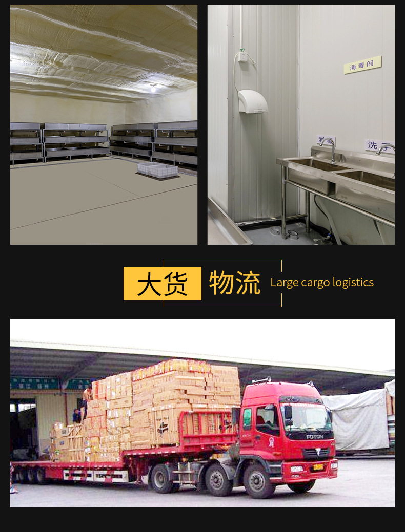 北极参_23.jpg