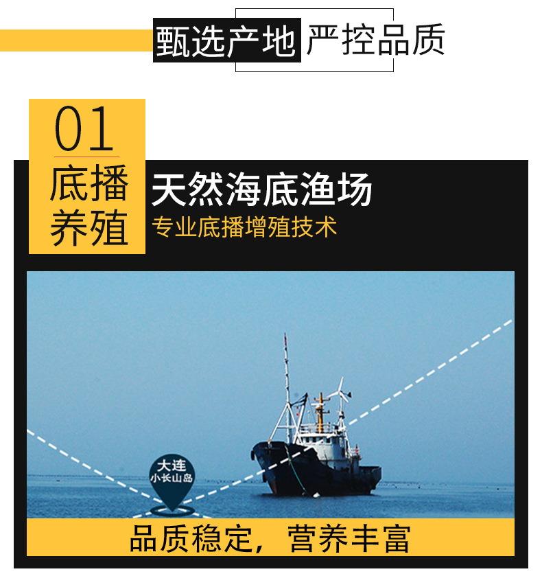 即食辽参_07.jpg