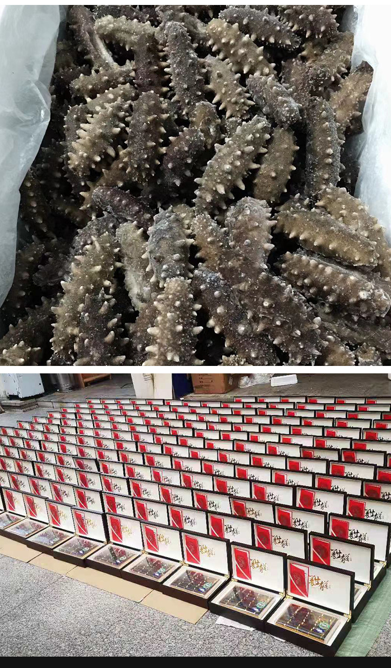 即食辽参_15.jpg