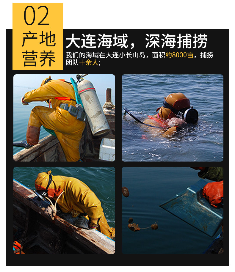 即食辽参_08.jpg