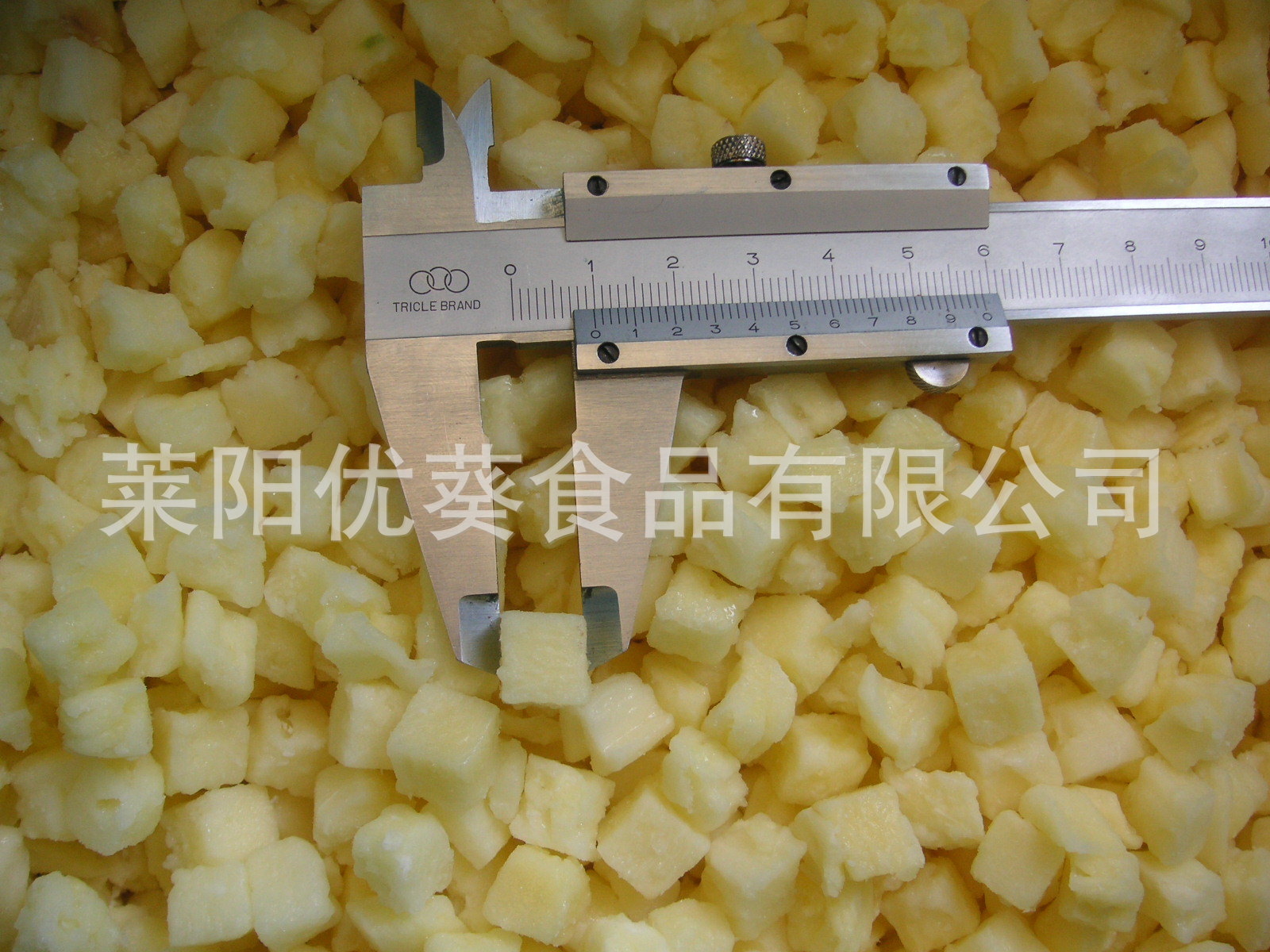 菠萝丁1