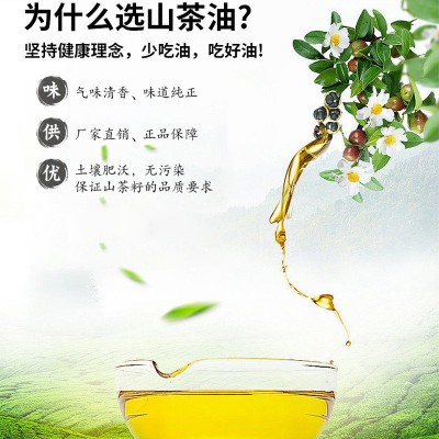 山茶油纯正野山茶籽油国标一级江西山茶子食用油厂家直销 价格便宜