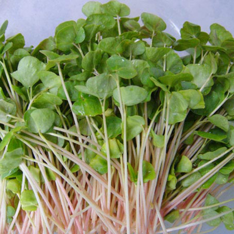 鑽為害澹?1?7鍥剧墖4