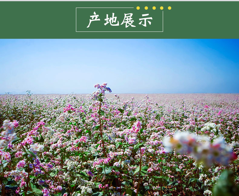 原粮_红花荞麦壳0727_06