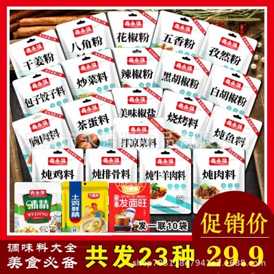 鑫永强调料摆摊一元调味包炖每样一袋样品链接