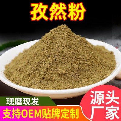 孜然粉烧烤撒粉商用批发调味料香辛料散装蘸料 复合调味料孜然粉