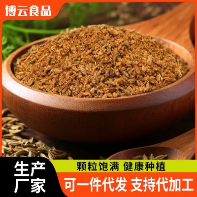 烧烤孜然半颗粒新疆孜然粒孜然碎半颗粒烧烤撒料500g浓香孜然粒