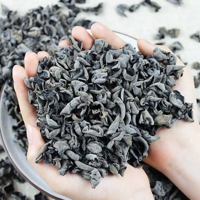 东北黑木耳干货500g椴木小碗耳野生秋木耳无根白木耳农产 品批发